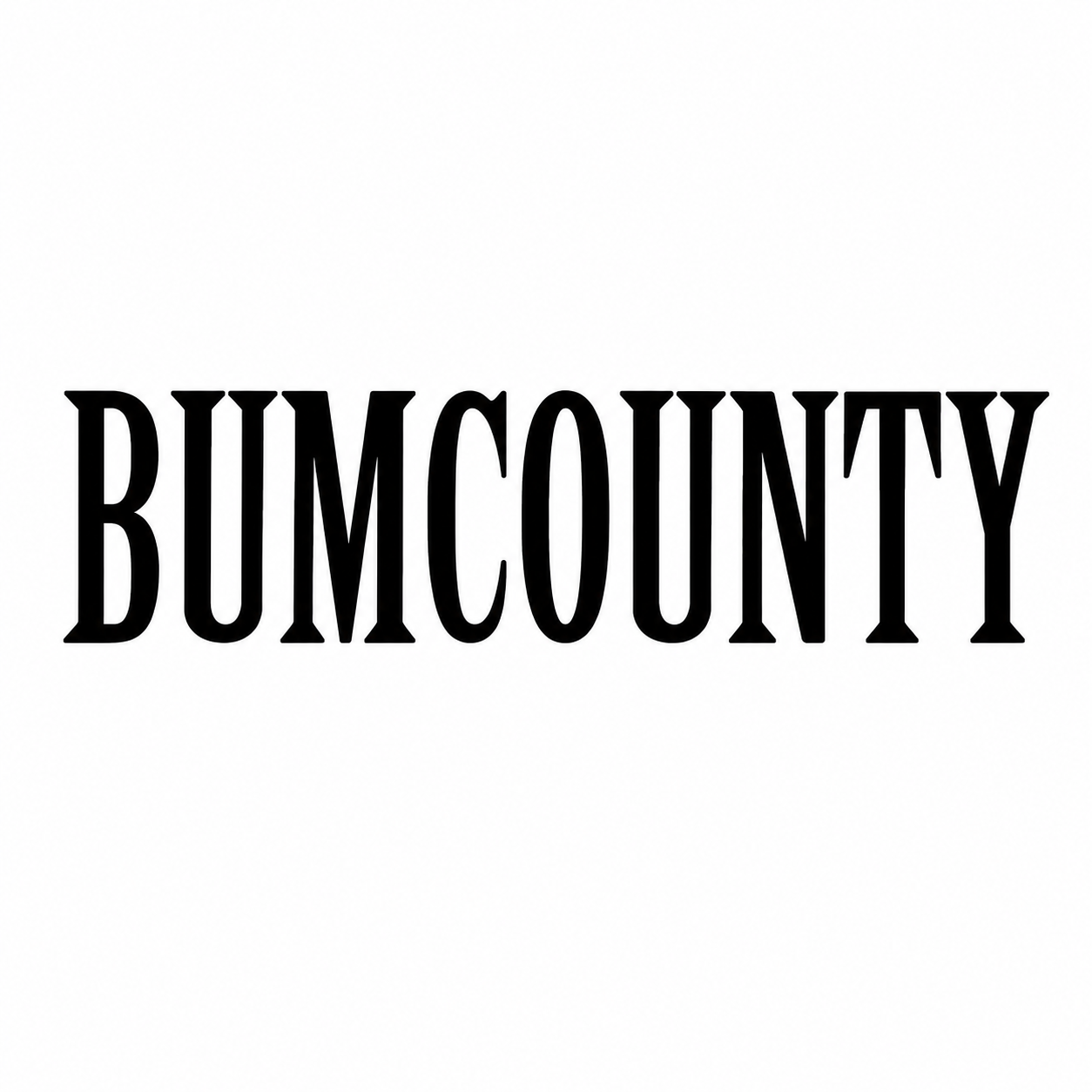 BUMCOUNTYVTG